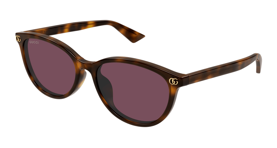 Sonnenbrillen gucci gg1818sk 002 havana round femenino größe 56mm - Hauptansicht