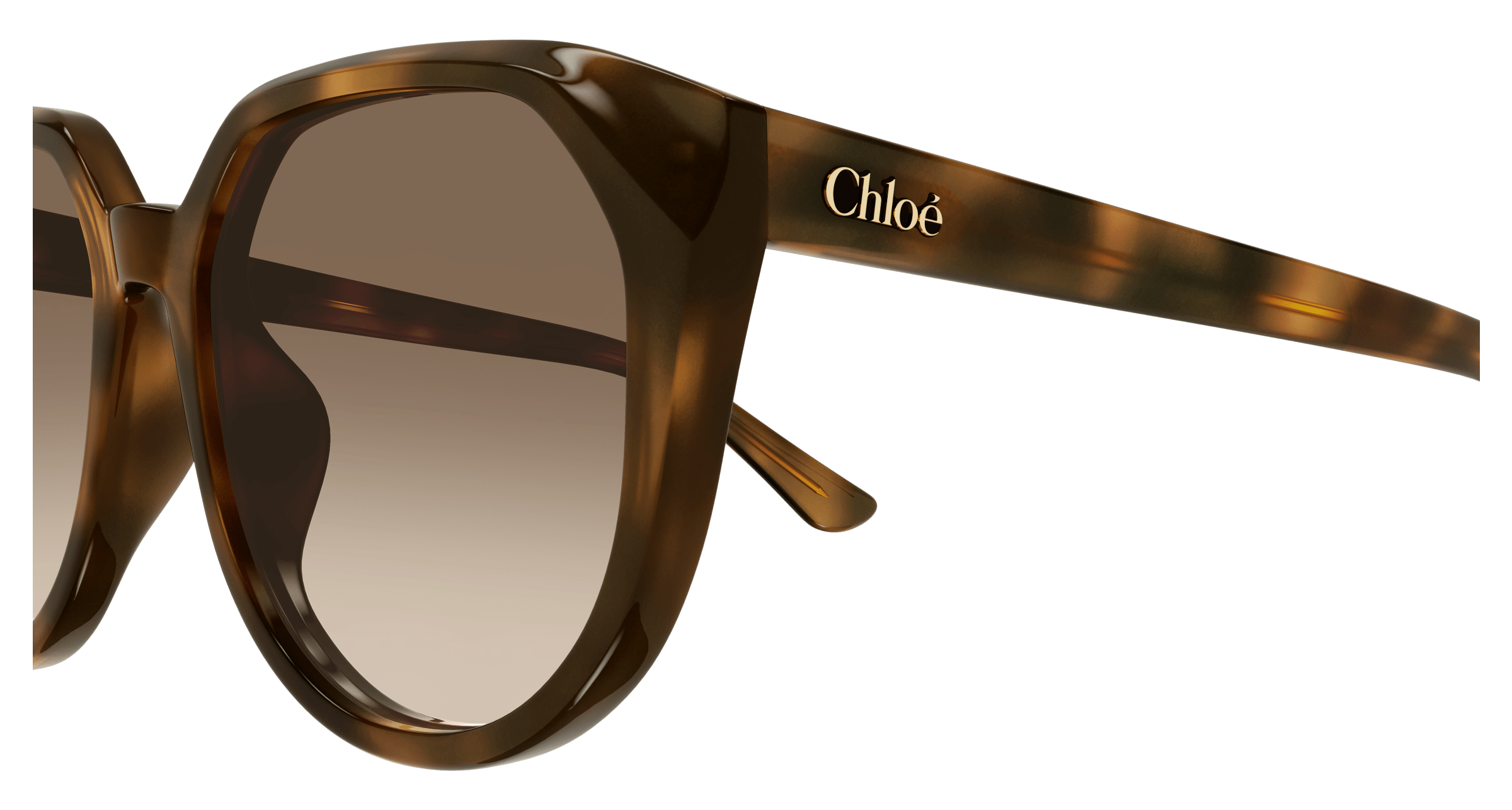 CHLOÉ CH0291SK 003 58