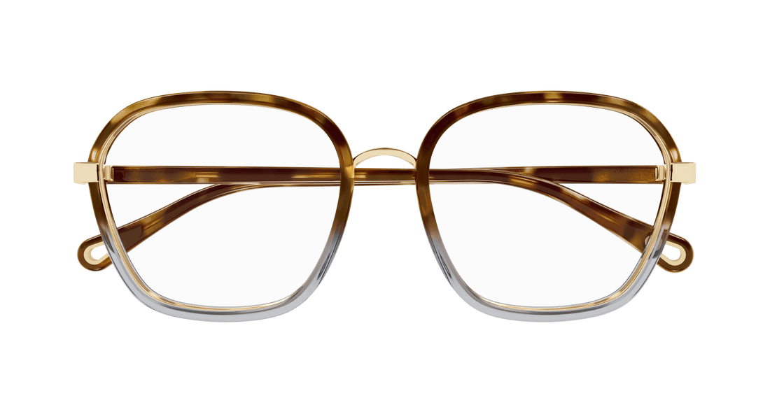 Glasögon chloé ch0309o 003 havana square femenino storlek 54mm - Detaljvy