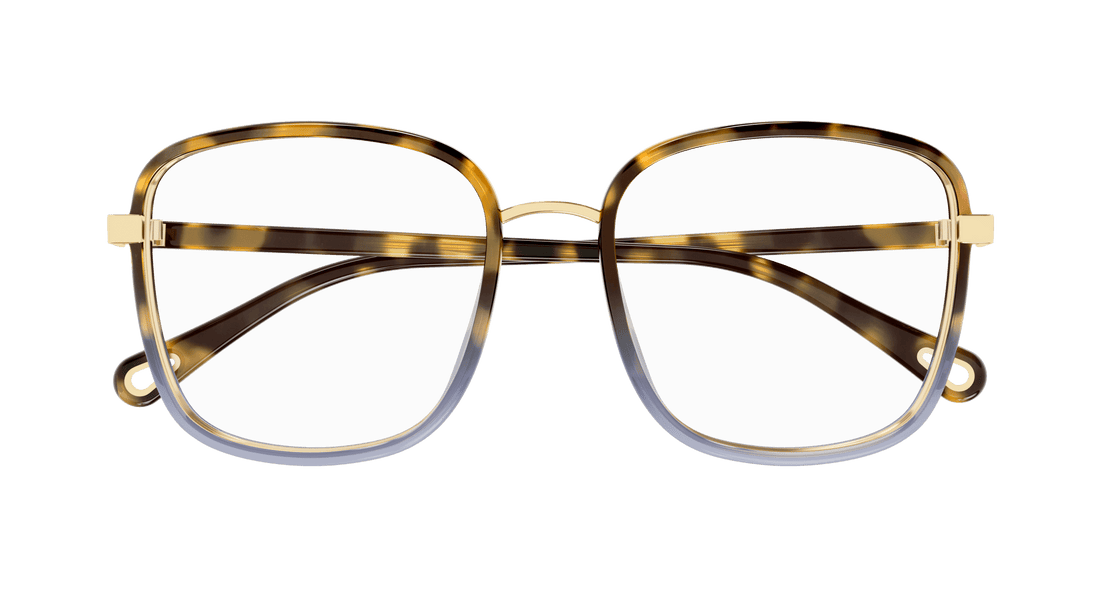 Glasögon chloé ch0034o 018 havana square femenino storlek 50mm - Detaljvy