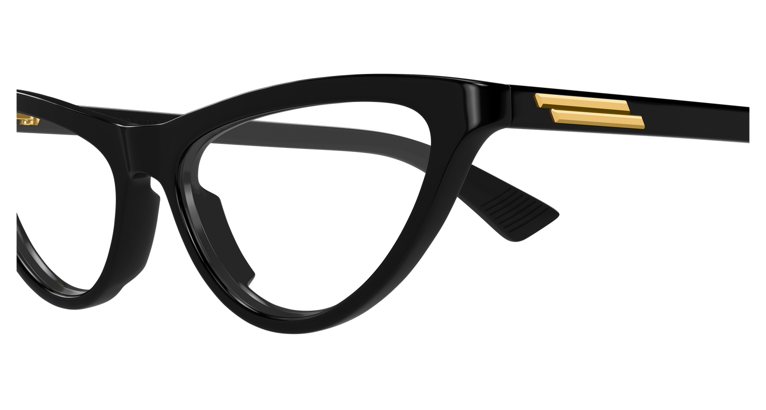 Bottega Veneta BV1416O 001 55