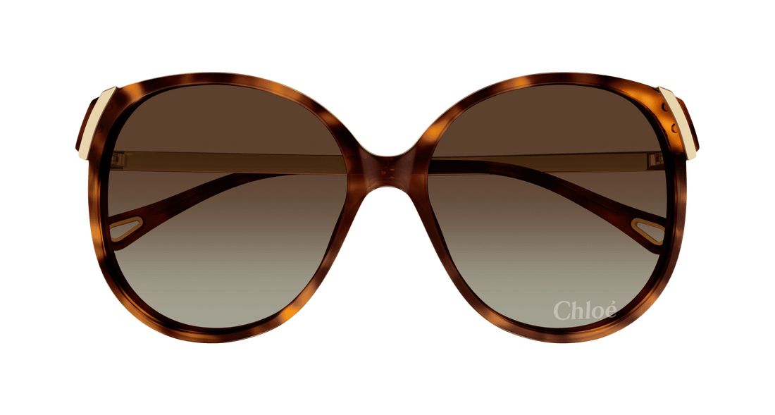 Gafas de sol chloé ch0285s 002 havana square femenino talla 58mm - Vista de detalle