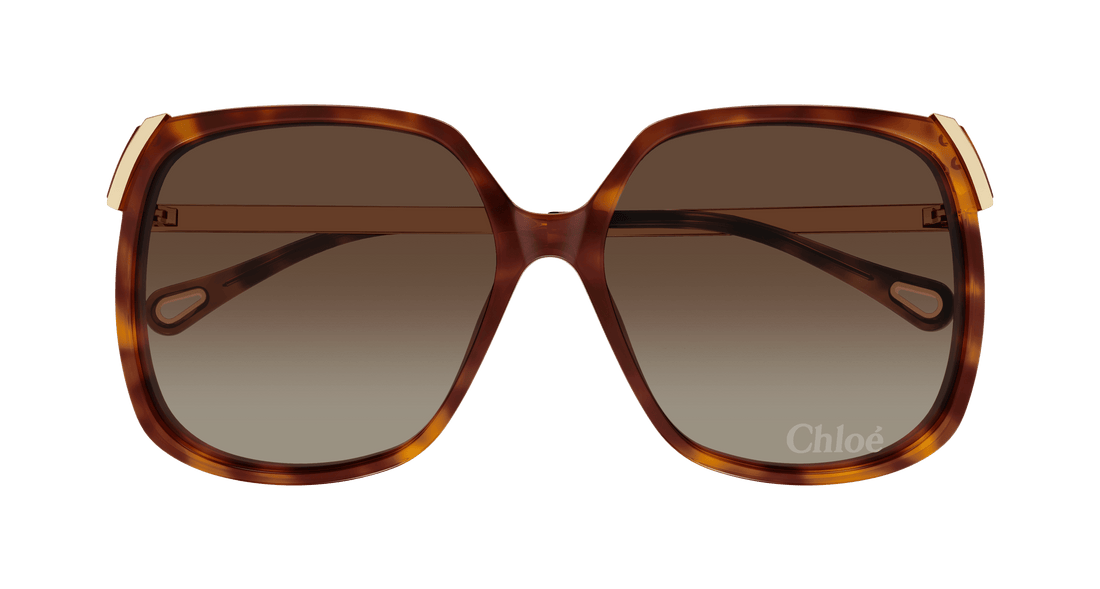 Occhiali da sole chloé ch0286s 002 havana square femenino taglia 60mm - Vista dettagliata