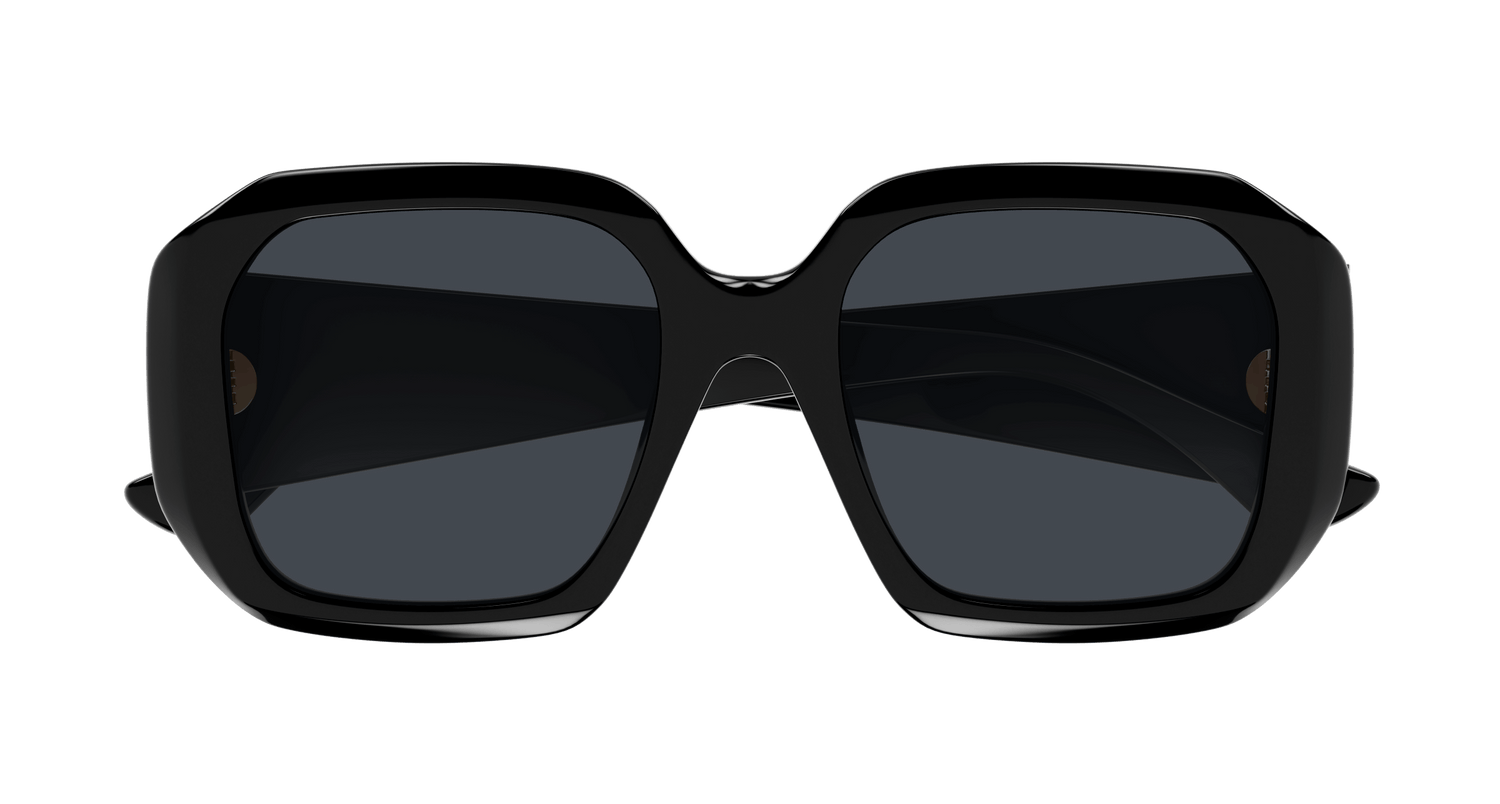 CHLOÉ CH0300S 001 54