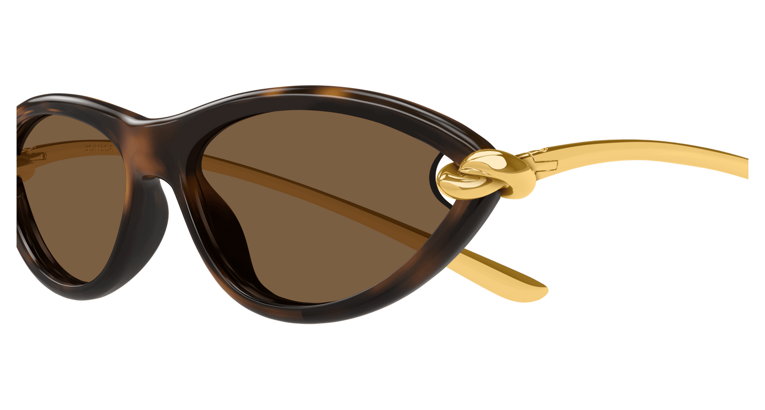 Bottega Veneta BV1390S 002 56