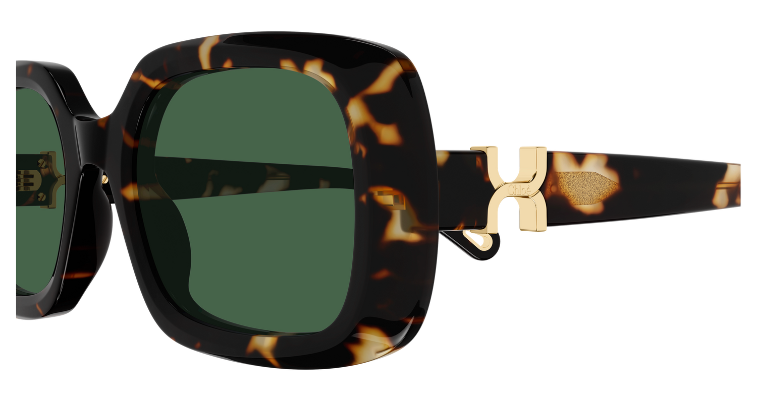 CHLOÉ CH0333S 002 53