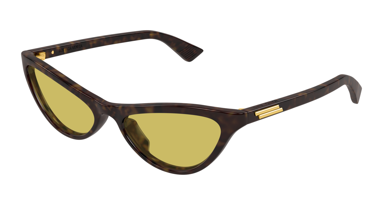 Bottega Veneta BV1414S 002 56