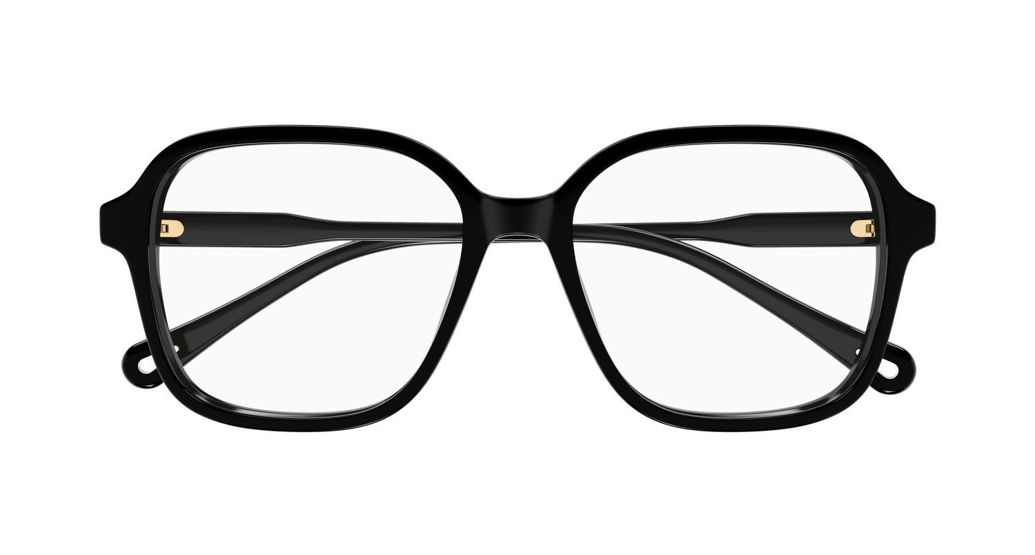 CHLOÉ CH0313O 001 54