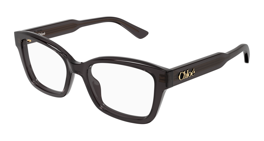 Óculos graduados chloé ch0380o 001 gris cat eye femenino tamanho 51mm - Vista principal