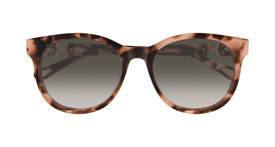 Óculos de sol chloé ch0375sk 002 havana round/oval/panthos femenino tamanho 56mm - Vista de detalhe