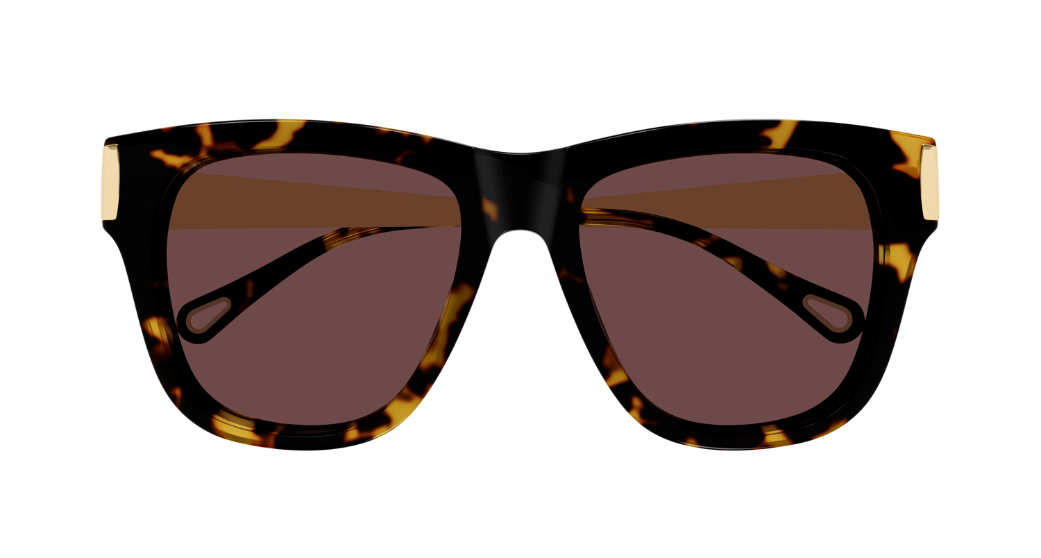 CHLOÉ CH0349S 003 54