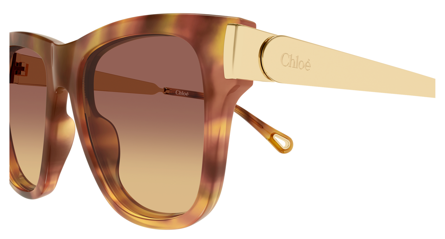 CHLOÉ CH0349S 002 54