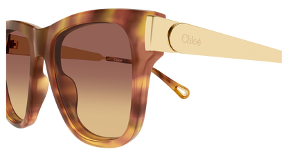 CHLOÉ CH0349S 002 54