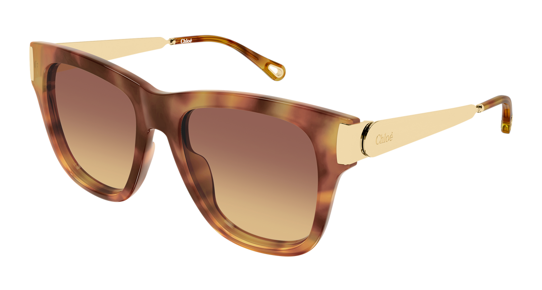 Gafas de sol chloé ch0349s 002 havana cat eye femenino talla 54mm - Vista principal