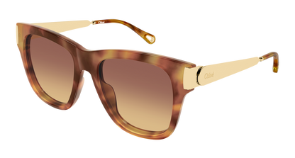 CHLOÉ CH0349S 002 54