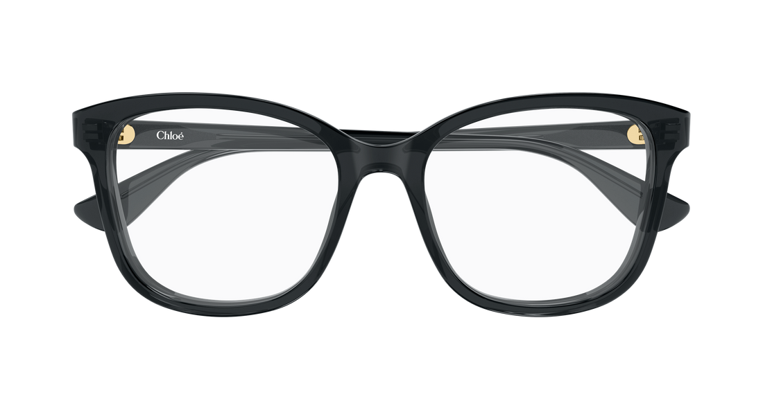 Briller chloé ch0393o 001 gris cat eye femenino størrelse 54mm - Detaljeret visning