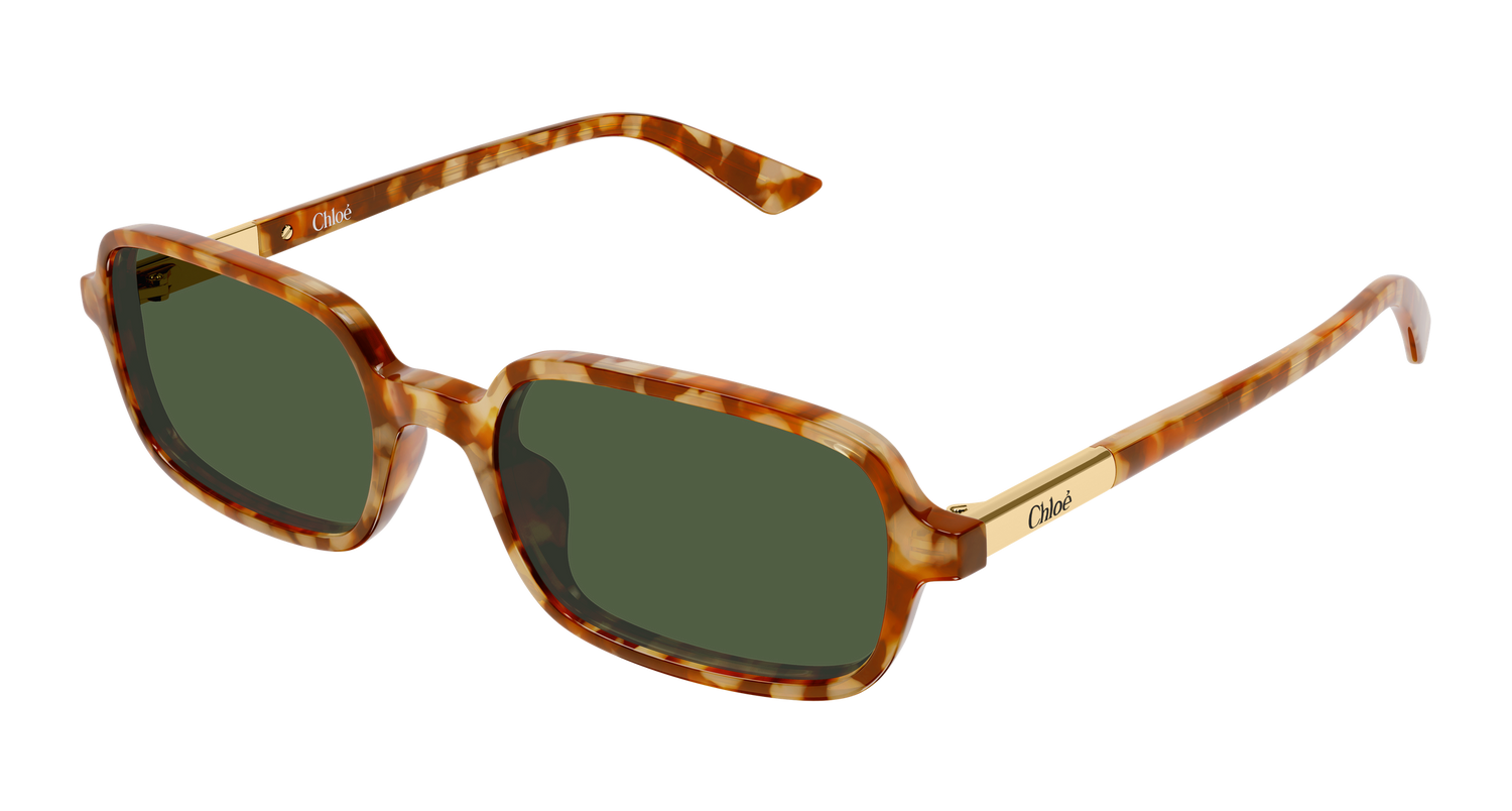 CHLOÉ CH0363S 003 53