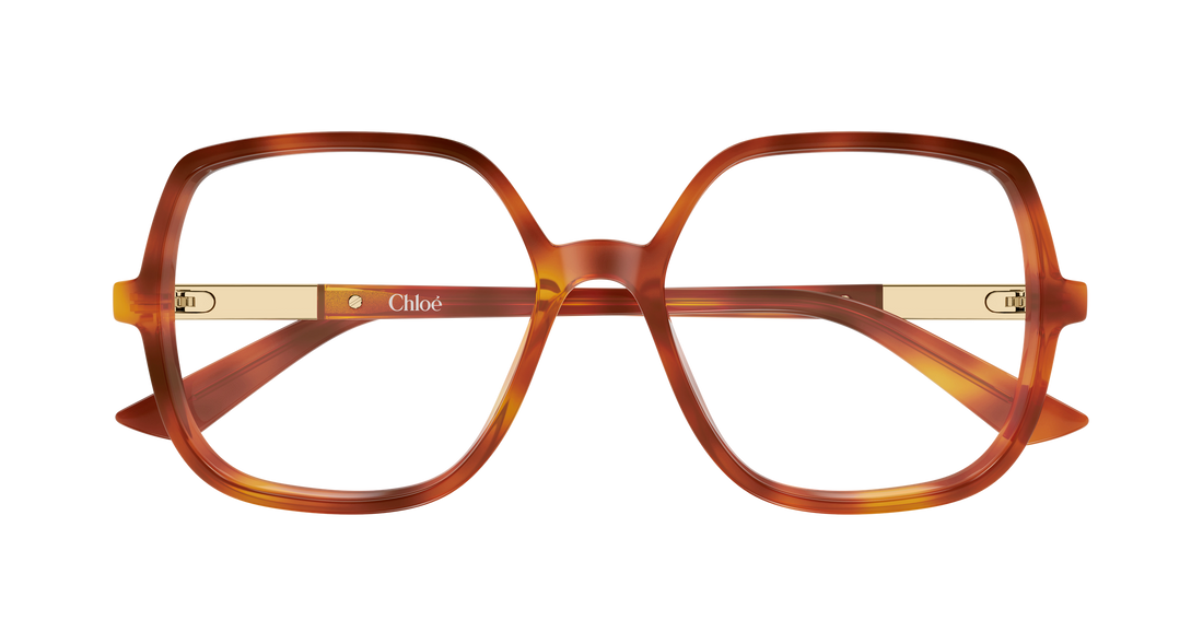Briller chloé ch0368o 002 havana geometrical/directional femenino størrelse 54mm - Detaljeret visning