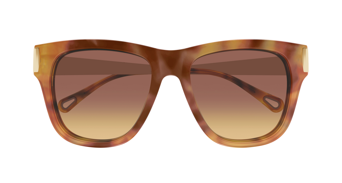 Gafas de sol chloé ch0349s 002 havana cat eye femenino talla 54mm - Vista de detalle