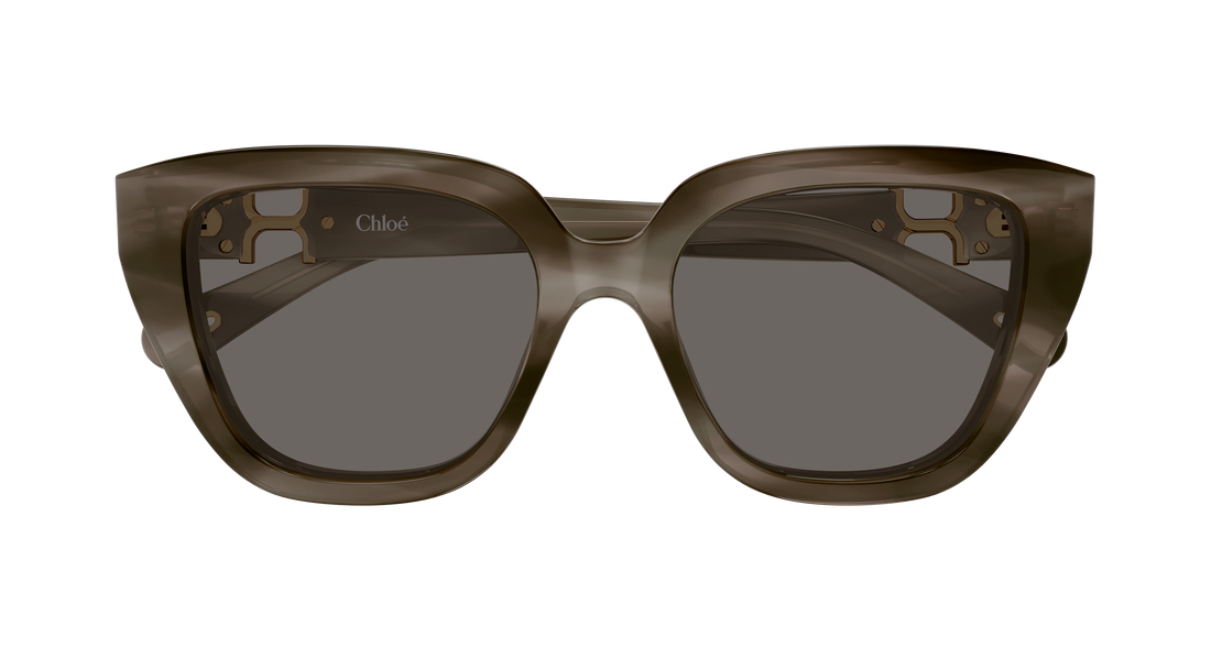 Zonnebrillen chloé ch0410s 002 havana cat eye femenino maat 53mm - Detailaanzicht