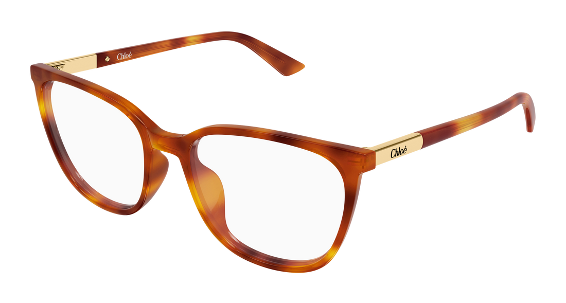Briller chloé ch0370ol 007 havana cat eye femenino størrelse 56mm - Hovedvisning