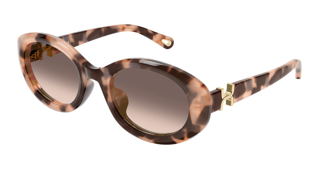 Zonnebrillen chloé ch0323sk 006 havana round/oval/panthos femenino maat 54mm - Hoofdaanzicht