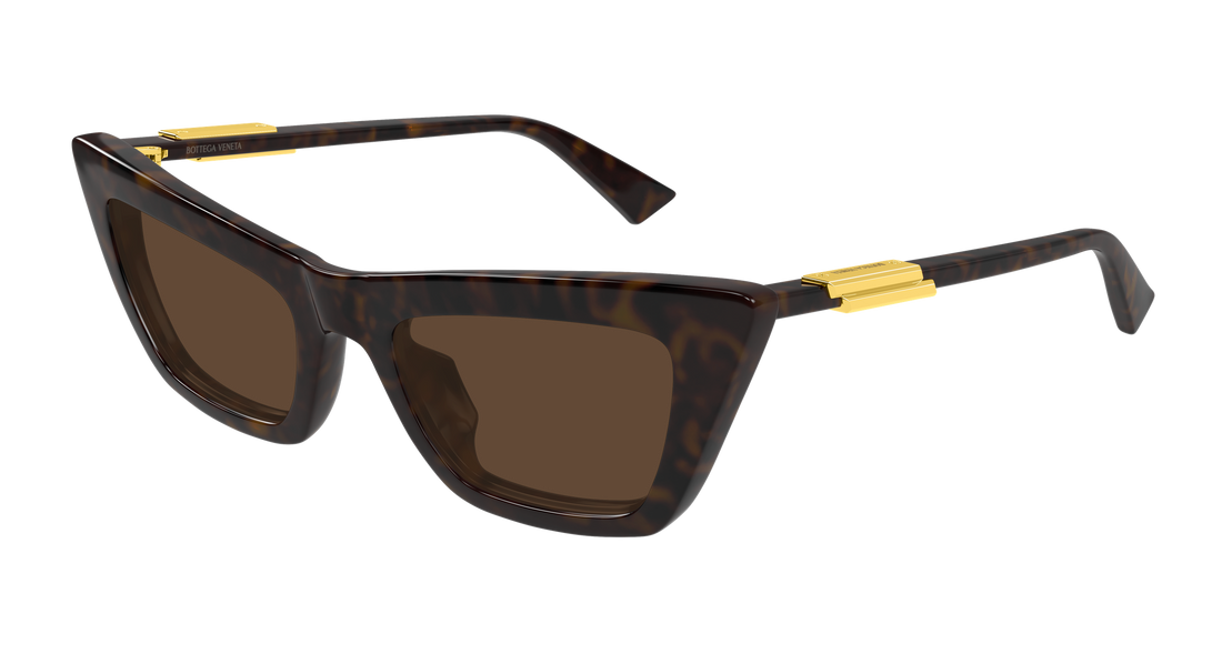 Sonnenbrillen bottega veneta bv1446s 002 havana cat eye femenino größe 53mm - Hauptansicht