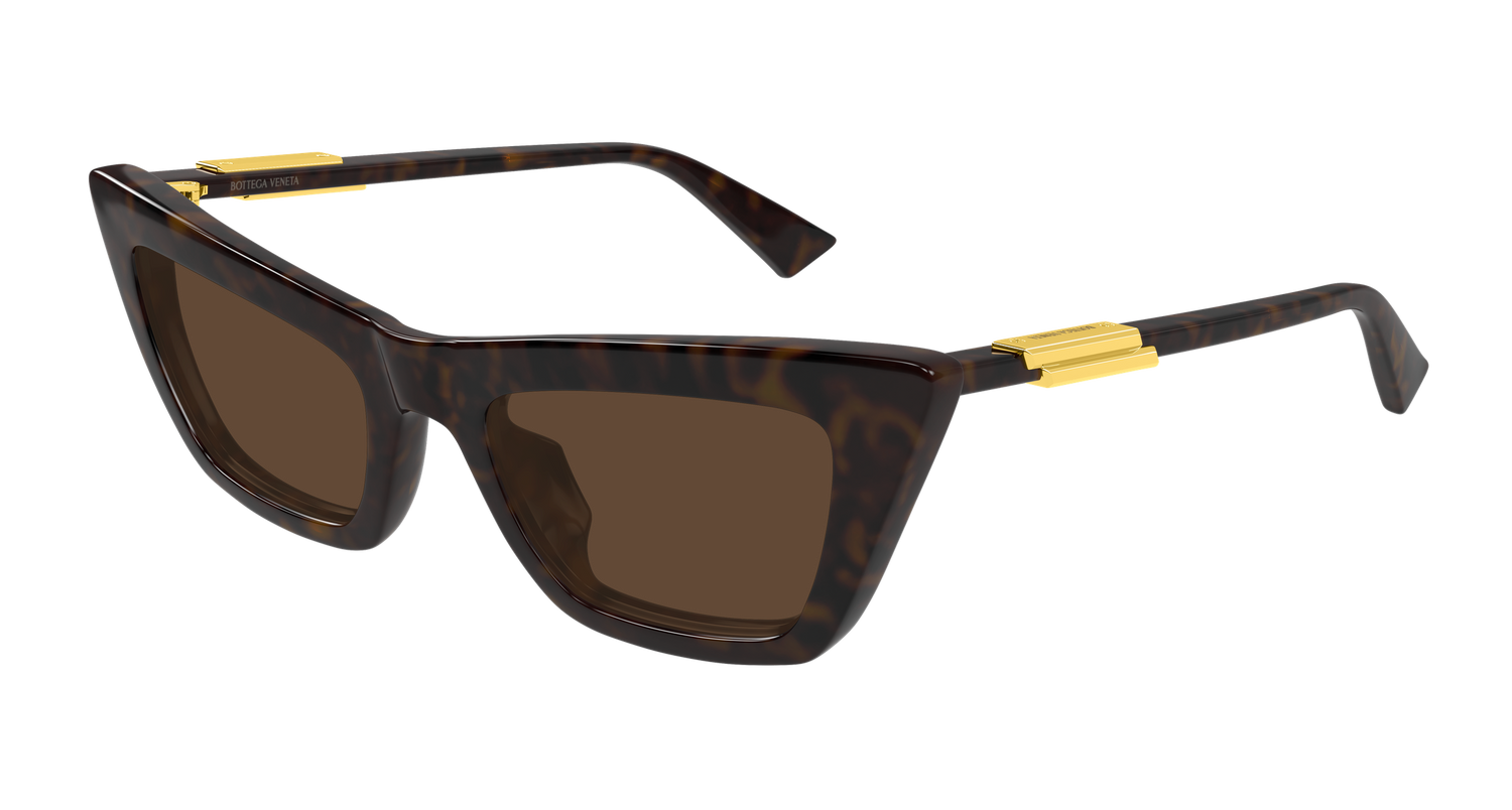 Bottega Veneta BV1446S 002 53