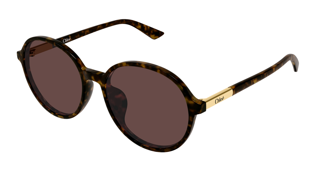Gafas de sol chloé ch0365sk 002 havana round/oval/panthos femenino talla 57mm - Vista principal