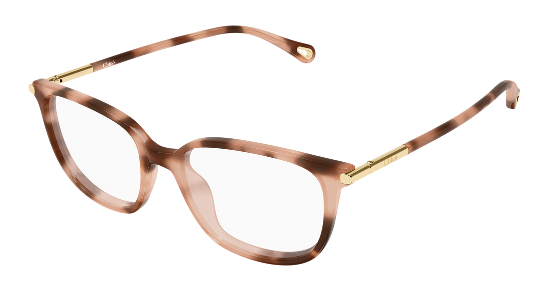 Briller chloé ch0400o 003 havana cat eye femenino størrelse 53mm - Hovedvisning
