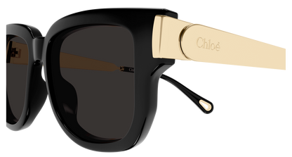 CHLOÉ CH0351S 001 54