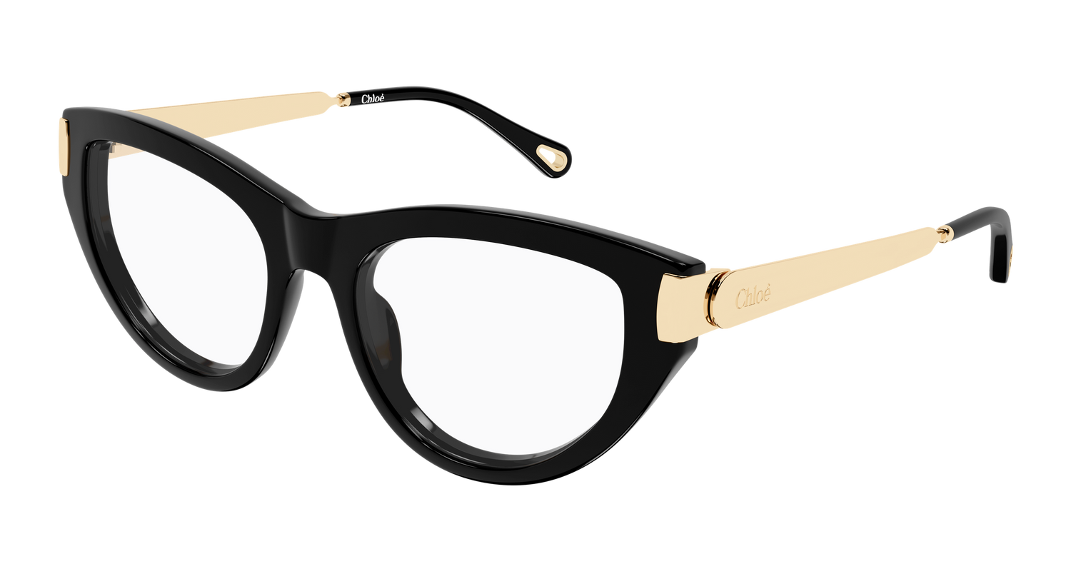 CHLOÉ CH0352O 001 53