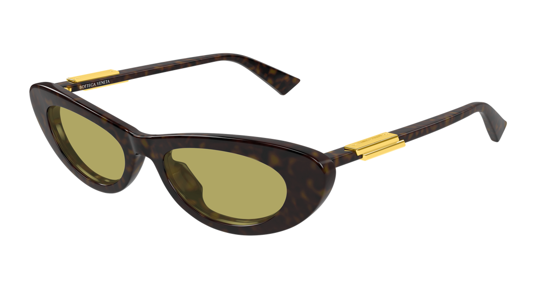 Sonnenbrillen bottega veneta bv1447s 002 havana cat eye femenino größe 51mm - Hauptansicht