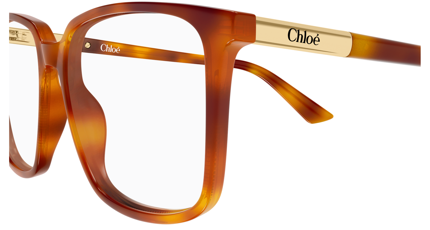 CHLOÉ CH0369O 002 55