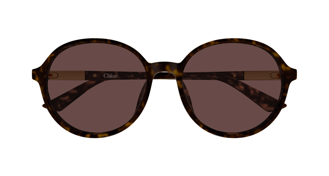Gafas de sol chloé ch0365sk 002 havana round/oval/panthos femenino talla 57mm - Vista de detalle