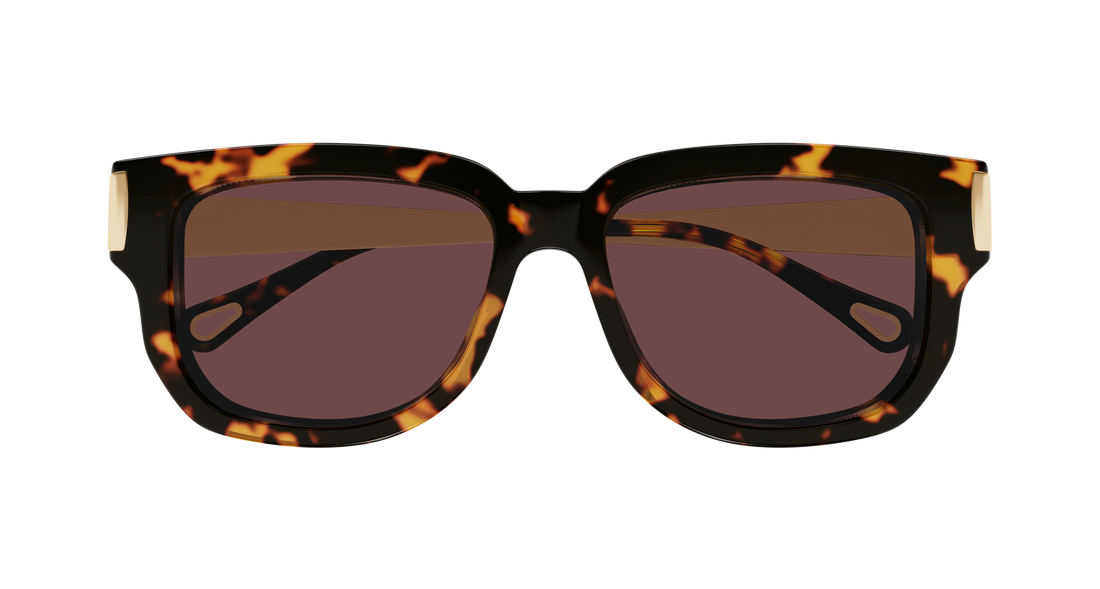 Gafas de sol chloé ch0351s 003 havana rectangular / squared femenino talla 54mm - Vista de detalle