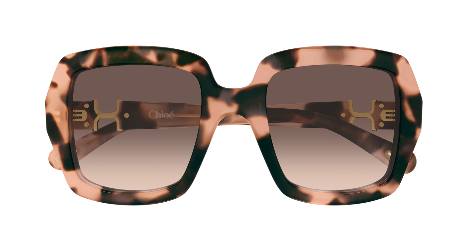 CHLOÉ CH0301S 006 52