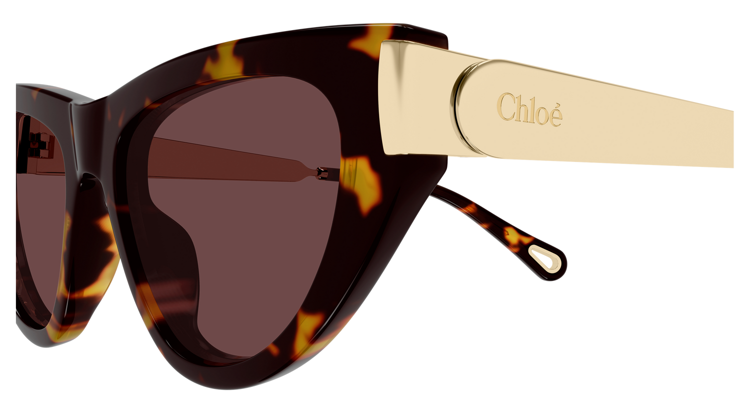 CHLOÉ CH0350S 003 54