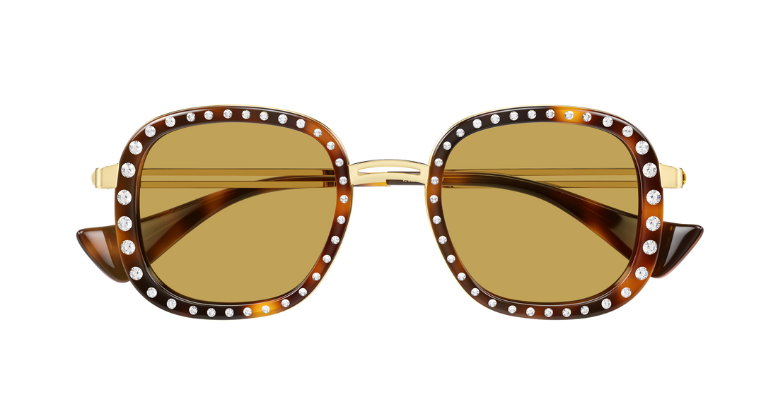 Sunčane naočale valentino vg0062s 005 havana round/oval/panthos femenino veličina 47mm - Detaljni prikaz