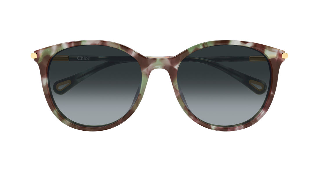 Solbriller chloé ch0397sk 004 havana round/oval/panthos femenino størrelse 56mm - Detaljeret visning