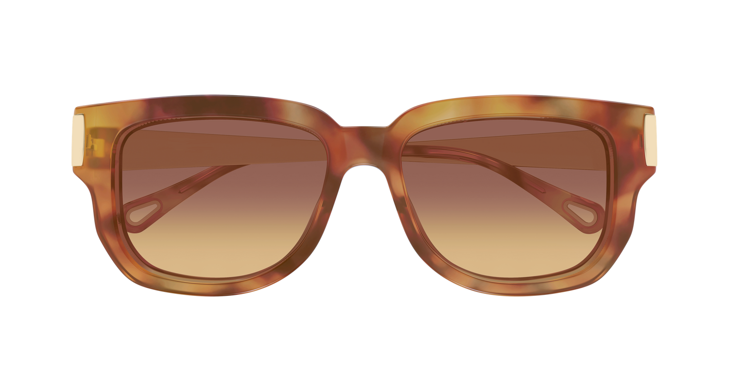 CHLOÉ CH0351S 002 54