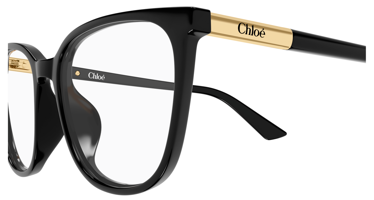 CHLOÉ CH0370OL 001 53
