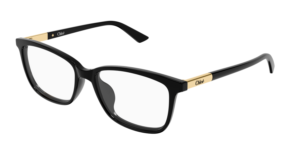 Briller chloé ch0371oa 001 negro butterfly femenino størrelse 55mm - Hovedvisning