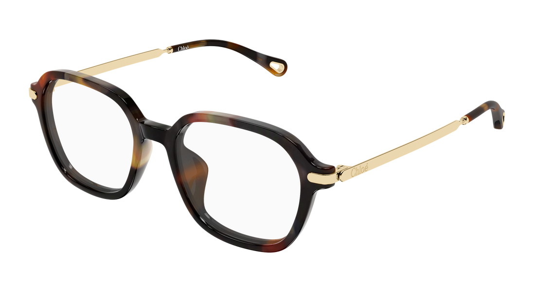 Occhiali da vista chloé ch0361oa 002 havana rectangular / squared femenino taglia 52mm - Vista principale