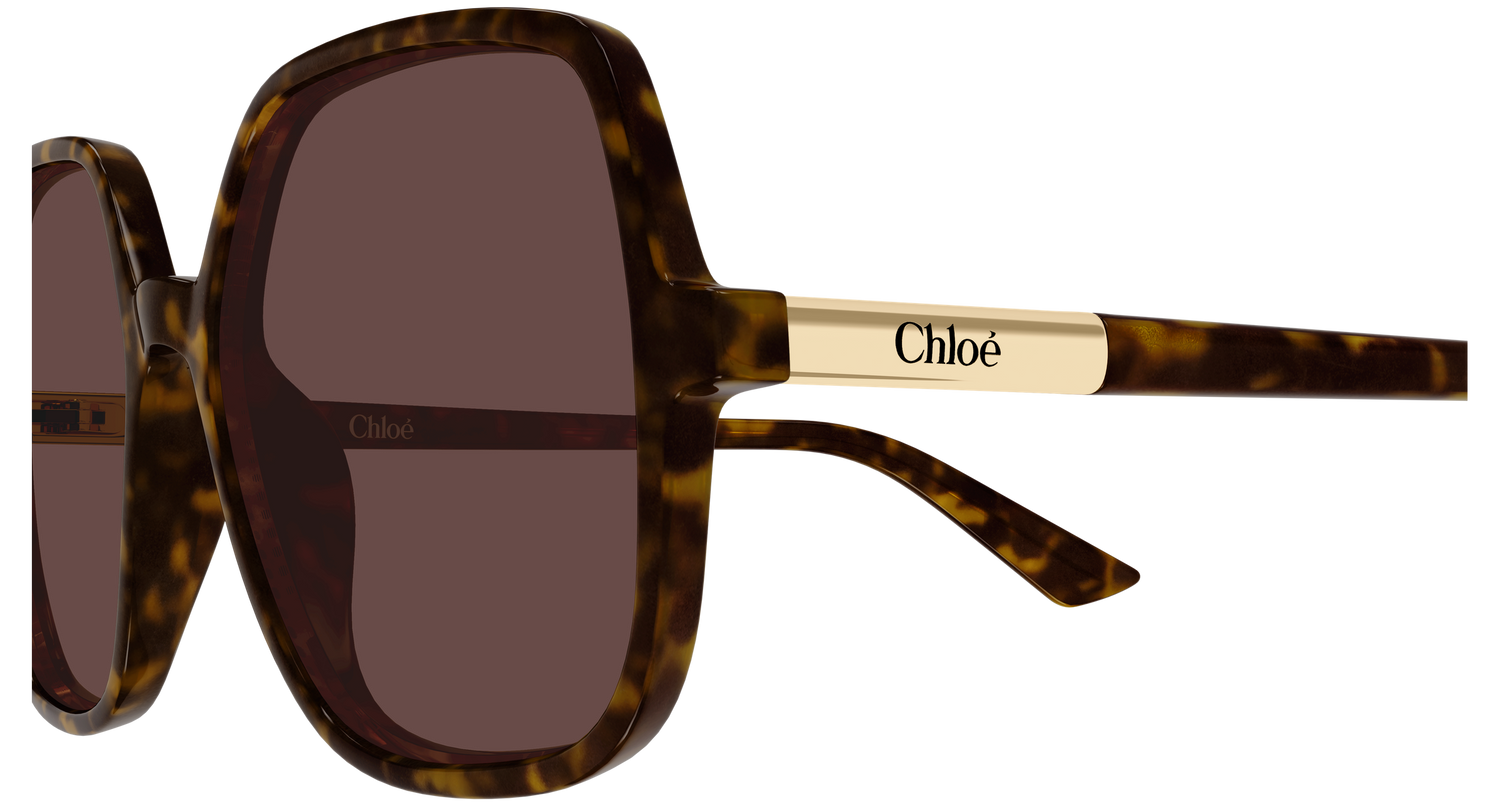 CHLOÉ CH0362S 002 55