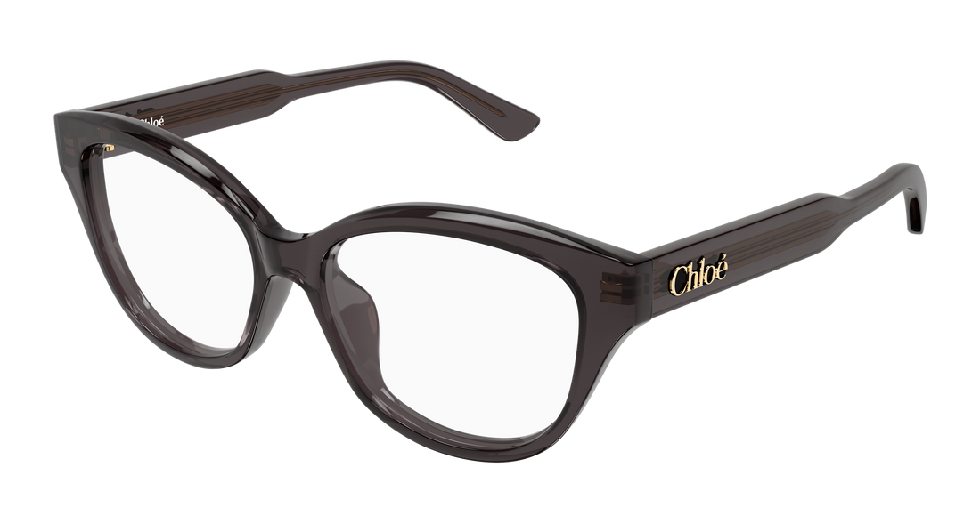 Briller chloé ch0381ol 001 gris cat eye femenino størrelse 51mm - Hovedvisning