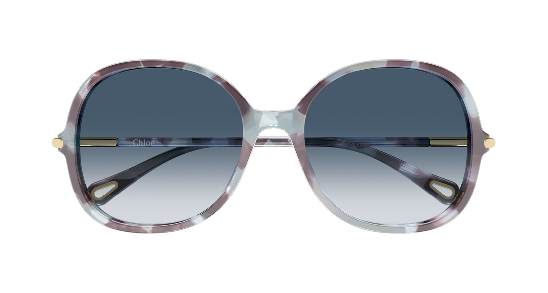 Óculos de sol chloé ch0383s 001 havana round/oval/panthos femenino tamanho 57mm - Vista de detalhe