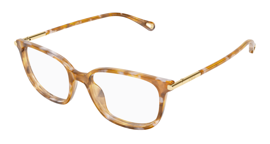 Briller chloé ch0400o 004 havana cat eye femenino størrelse 53mm - Hovedvisning