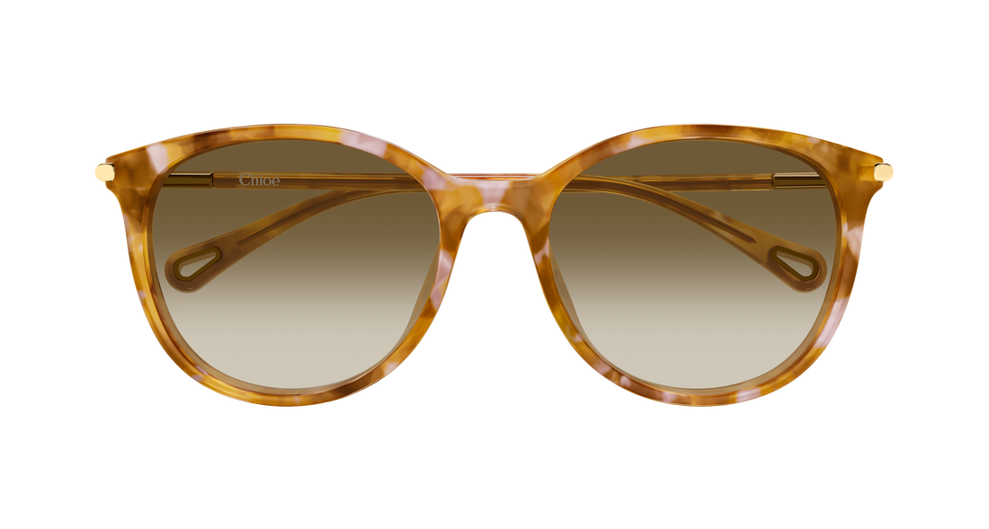 Solbriller chloé ch0397sk 003 havana round/oval/panthos femenino størrelse 56mm - Detaljeret visning