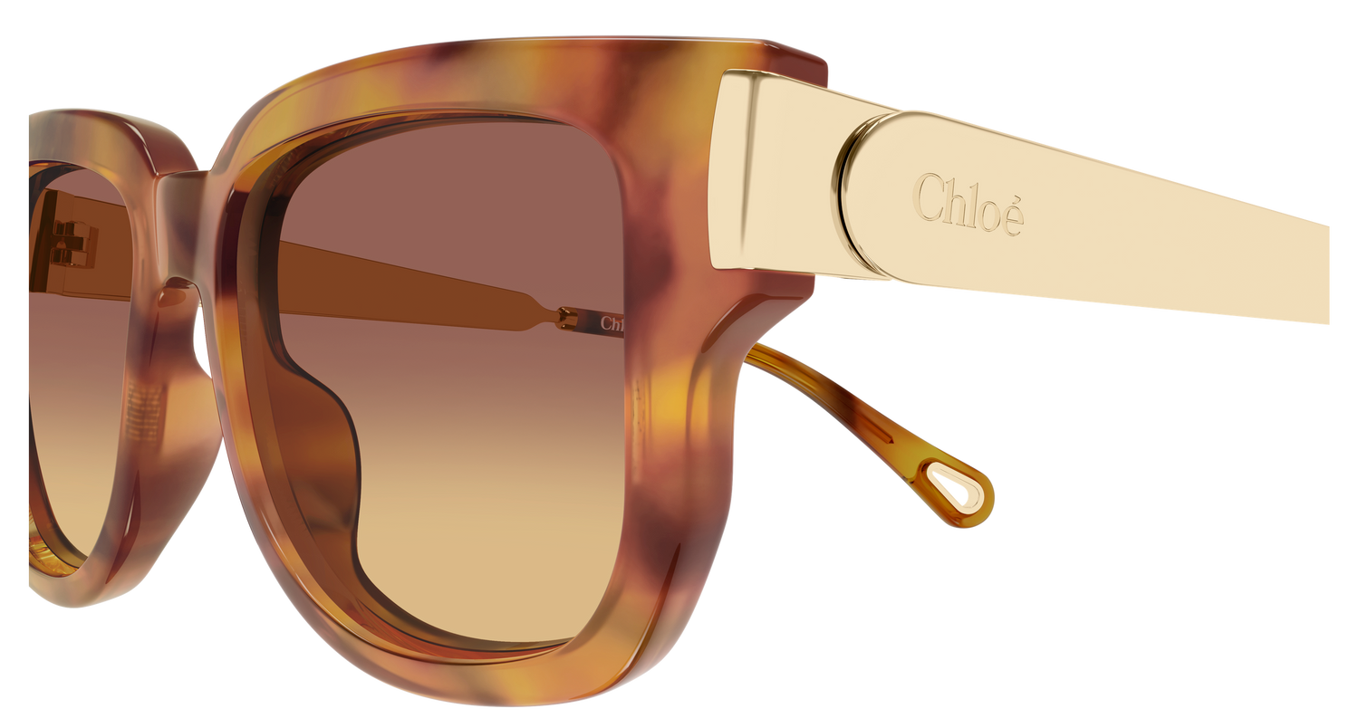 CHLOÉ CH0351S 002 54